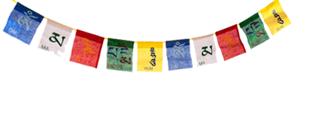 svg